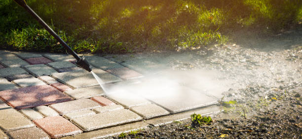 Solar Panel Cleaning in Town N Country, FL